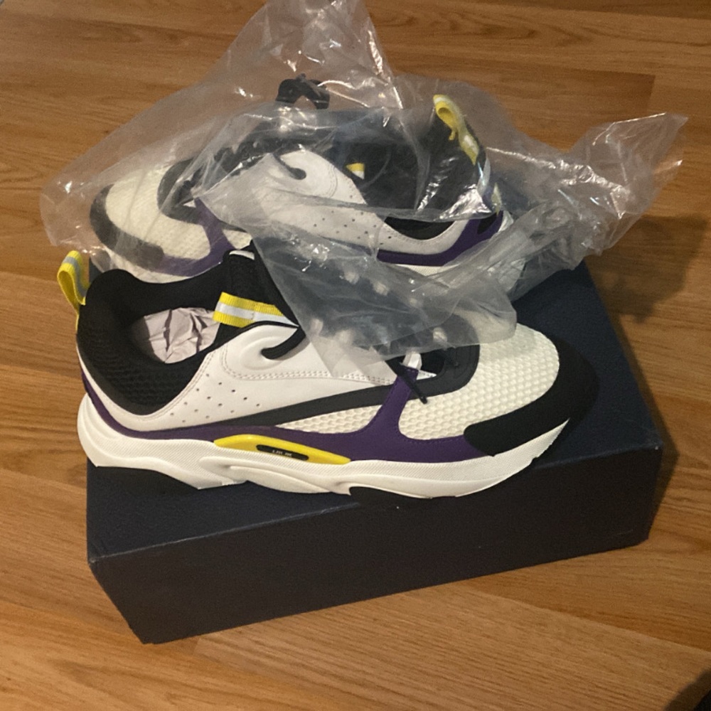COPY - Dior b22s new